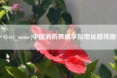 长垣中国消防救援学院地址路线图