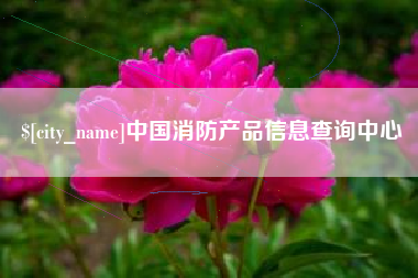 长垣中国消防产品信息查询中心