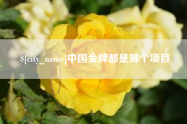 长垣中国金牌都是哪个项目
