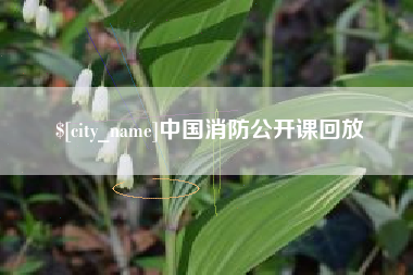 长垣中国消防公开课回放