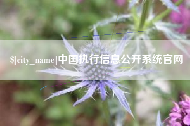 长垣中国执行信息公开系统官网