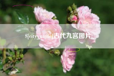 长垣古代九宫图片