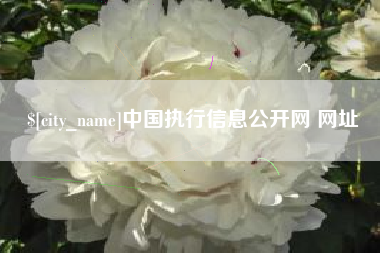 长垣中国执行信息公开网 网址