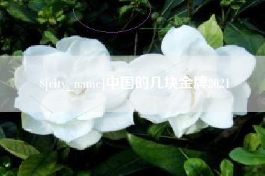 长垣中国的几块金牌2021