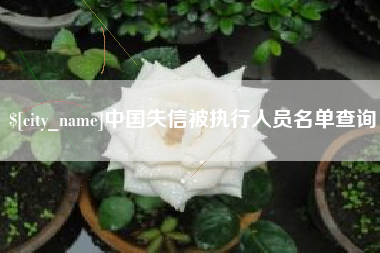 长垣中国失信被执行人员名单查询