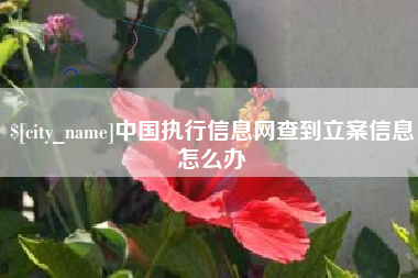 长垣中国执行信息网查到立案信息怎么办
