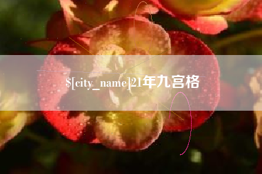 长垣21年九宫格