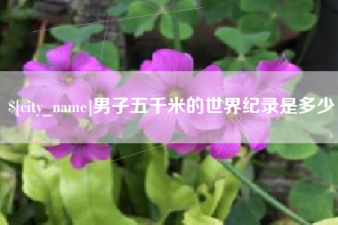 长垣男子五千米的世界纪录是多少