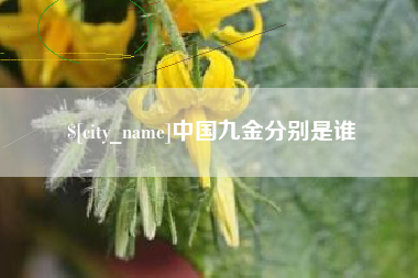 长垣中国九金分别是谁