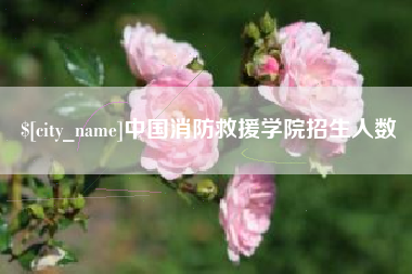 长垣中国消防救援学院招生人数