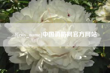 长垣中国消防网官方网站