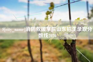 长垣消防救援学院山东招生录取分数线2020
