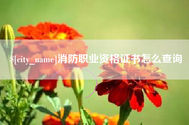 长垣消防职业资格证书怎么查询