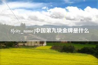 长垣中国第九块金牌是什么