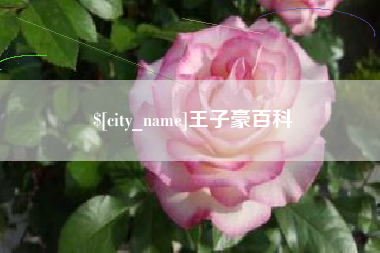 长垣王子豪百科