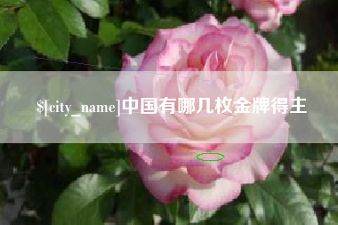 长垣中国有哪几枚金牌得主