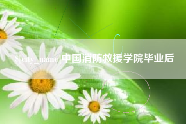 长垣中国消防救援学院毕业后