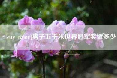 长垣男子五千米世界冠军奖金多少