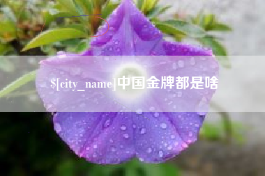 长垣中国金牌都是啥