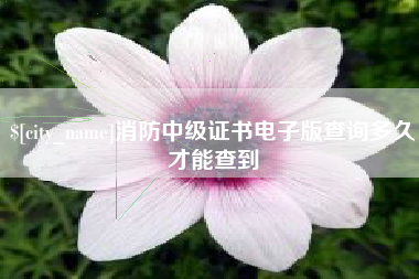 长垣消防中级证书电子版查询多久才能查到