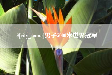 长垣男子5000米世界冠军