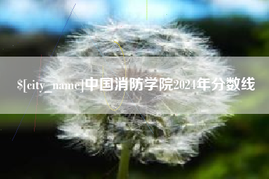 长垣中国消防学院2024年分数线