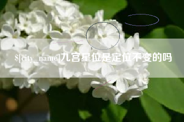 长垣九宫星位是定位不变的吗