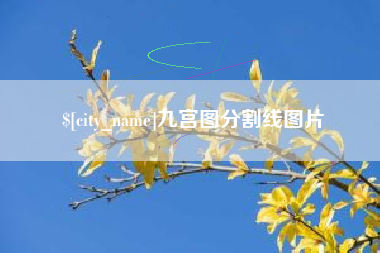长垣九宫图分割线图片