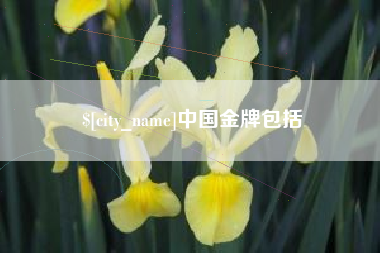 长垣中国金牌包括