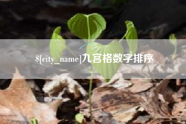 长垣九宫格数字排序