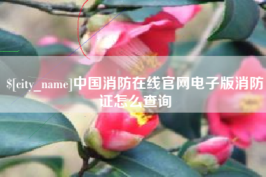 长垣中国消防在线官网电子版消防证怎么查询