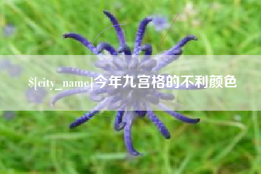 长垣今年九宫格的不利颜色