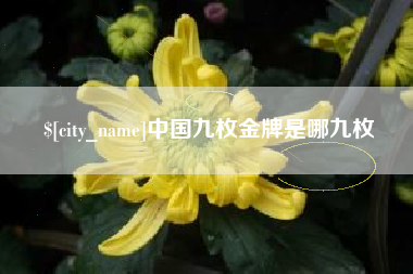 长垣中国九枚金牌是哪九枚