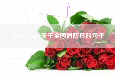 长垣关于全国消防日的句子