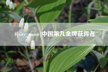 长垣中国第九金牌获得者
