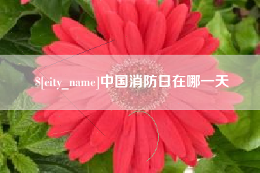 长垣中国消防日在哪一天