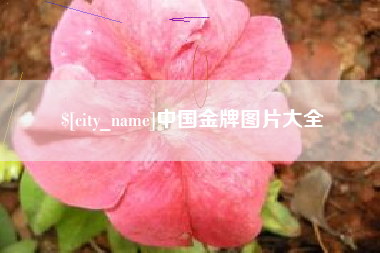 长垣中国金牌图片大全