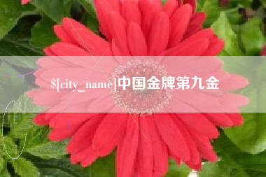 长垣中国金牌第九金