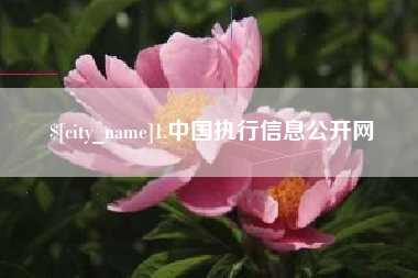 长垣1.中国执行信息公开网
