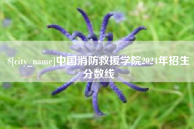 长垣中国消防救援学院2024年招生分数线