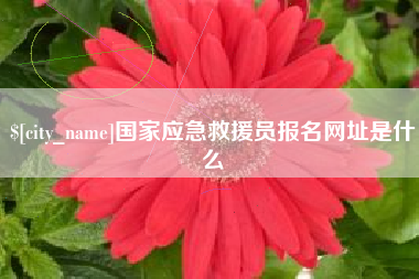长垣国家应急救援员报名网址是什么