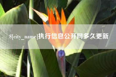 长垣执行信息公开网多久更新