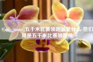长垣五千米比赛领跑员是什么-他们就是五千米比赛领跑员