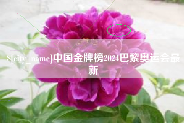 长垣中国金牌榜2024巴黎奥运会最新
