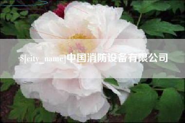 长垣中国消防设备有限公司