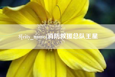长垣消防救援总队王星