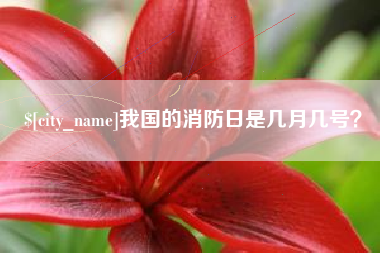 长垣我国的消防日是几月几号？