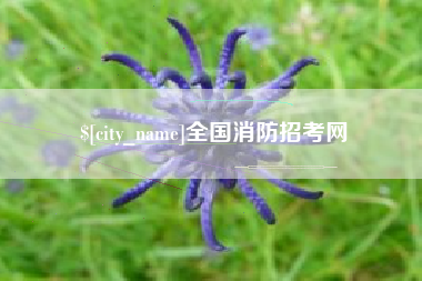 长垣全国消防招考网