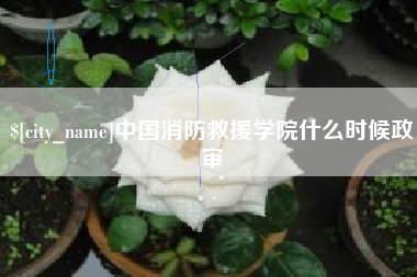 长垣中国消防救援学院什么时候政审