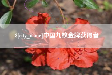长垣中国九枚金牌获得者